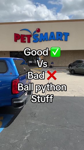 Ball Python Care Guide: What to Buy and Avoid at Petsmart