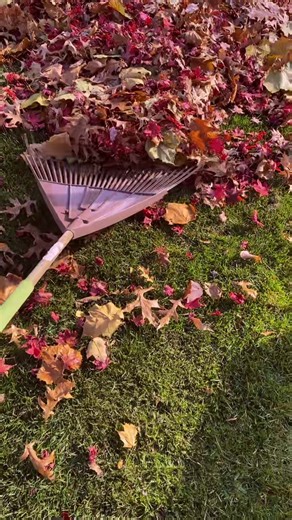 Improve Your Leaf Raking Technique with These Tips