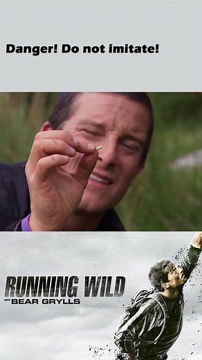 Eating Maggots: A Bear Grylls Experience