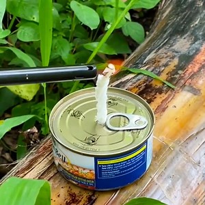 2.5M views · 1.6K reactions | Camping hacks to survive the wilderness | 5-Minute Crafts Like | Facebook