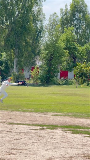 Solid Catch chance! #cricket #hardballmatch #fastbowling #fielding
