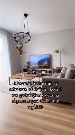 Pati dostlarım on Instagram: "Dostlar YouTube patidostlarım kanalına da beklerim ailemize sende katıl #funny"