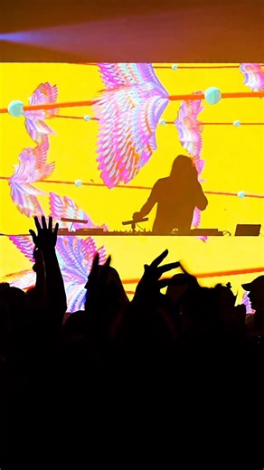 It never gets old rewatching highlights from LOVE HERE. The energy, the passion of the crowd, and the movement comes together so perfectly during these shows. I LOVE IT | Bassnectar