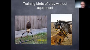Training Birds of Prey without Equipment - Global Online Animal Training Series