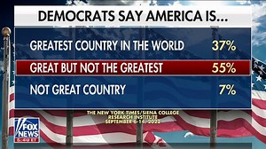 Most Democrats don't think the US is the greatest country in the world: Poll