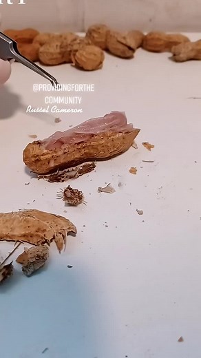 Lab Banana Creation Process Explained by Russell Cameron