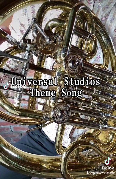 Universal Studios Theme Song #ユニバーサル#ホルン#吹奏楽#orchestra #horn