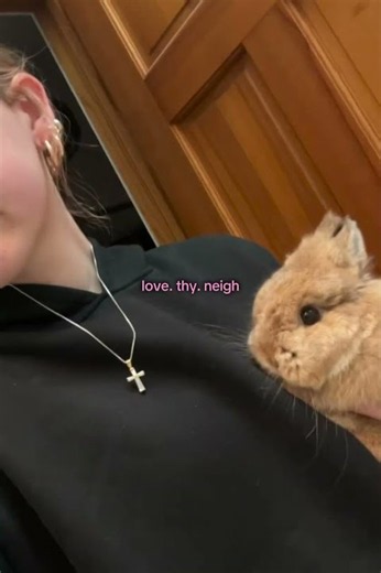 PART FACE REVEALLLL!! And bunny reveal.. #facereveal #bunnies