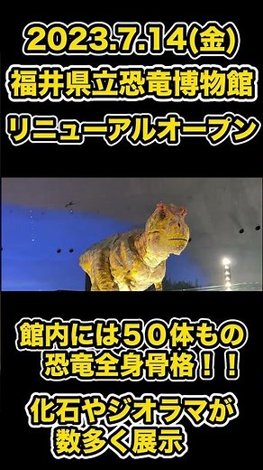 福井県立恐竜博物館リニューアルオープン 見所を一気にご紹介！ #shorts