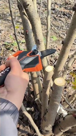 Cordless Electric Pruner Cutting Tree Branches | Smart Gardening Tool 🌳⚡