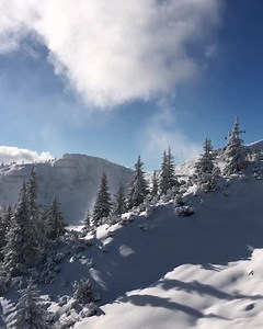 Get your skis & snowboards out! ⛷🏂 Shuttleberg Flachauwinkl-Kleinarl Absolut Park öffnet am 11. und 12. Dezember 2021! 🥳🥳🥳 Die folgenden Seilbahnen sind dann für euch in Betrieb: ❄️ Sunshine Shuttle ❄️ Family Shuttle ❄️ Powder Shuttle ❄️ Absolut Shuttle ❄️ Champion Shuttle ❄️ Lumberjack Shuttle Der Absolut Park hat zudem folgende Lines geöffnet: 👉 Medium/Beginner Line 👉 Jib Park 👉 2 Big Jumps Let's gooo! 💥 📌Infos zu aktuell geöffneten Pisten & Anlagen findet ihr unter: https://www.skiam