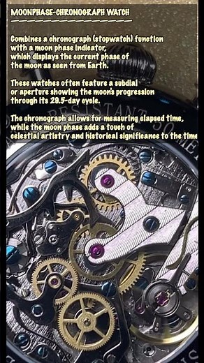 Moonphase-Chronograph Watch. What’s Inside? - A Closer Look