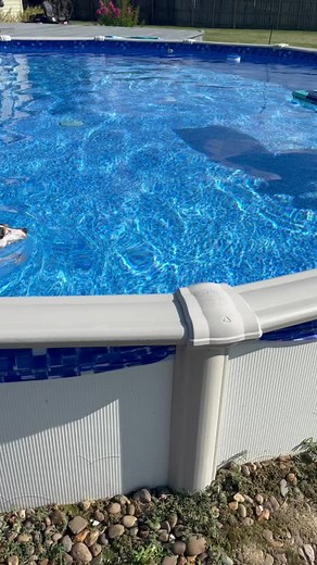 #aok #babygirl #SyncYourMiO #jrt #puddinjack #fypシ #pool #goodswimmer