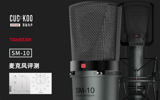 全新外观设计的千元甜品麦克风：混音师眼中的得胜 SM-10 | 鸦雀有声