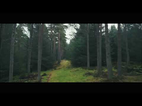 Beecraigs drone view, dji flip 🏴󠁧󠁢󠁳󠁣󠁴󠁿