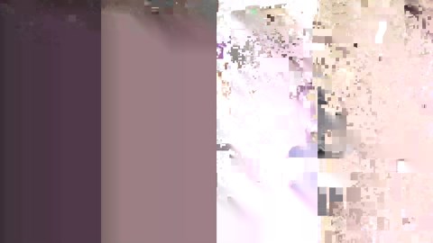 7 Easy Shed Organizing DIY Projects