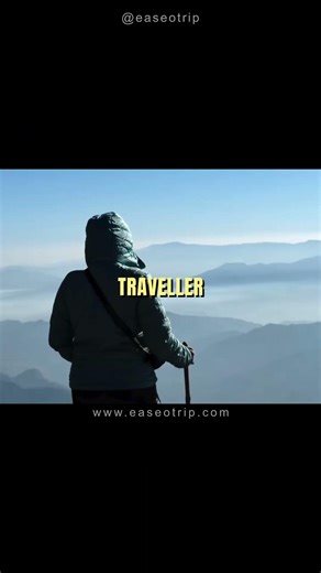 “Not everyone is born to follow the crowd.Some are born to follow boarding passes. ✈️🔥