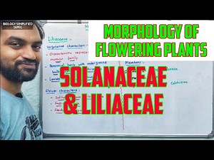 Morphology of flowering plants | Solanaceae and Liliaceae