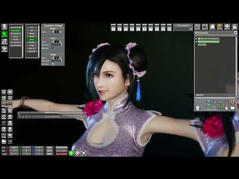 Honey Select2 Tifa head mod