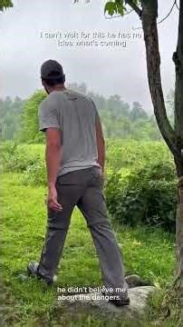 we bought a farm - when guinea hens attack.