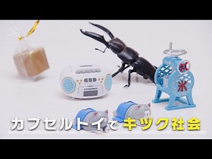 Creating a Kid Society Together (4) Creating a Kid Society with Capsule Toys