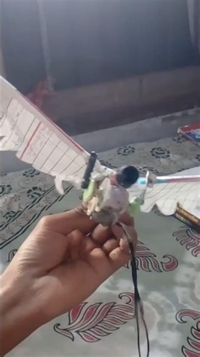 my homemade rc Bird from 2018 #experimnent #rccar #diy #shorts