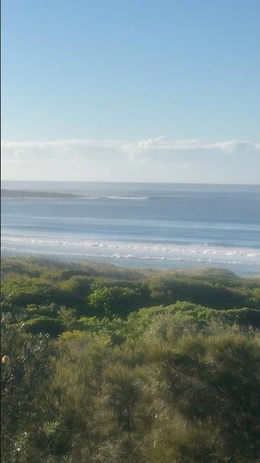 🌊Surf Report - NSW South Coast