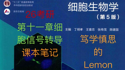 【26考研】细胞生物学 | 基础复习 | 第十一章细胞信号转导 | 课本笔记—NFkB和Notch信号通路 | 丁明孝