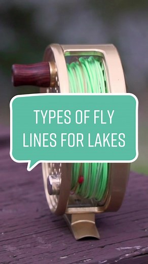 Types of Fly Lines for Effective Lake Fishing