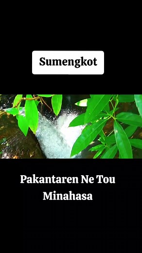 Lagu Makaaruyen: Jejak Budaya Minahasa