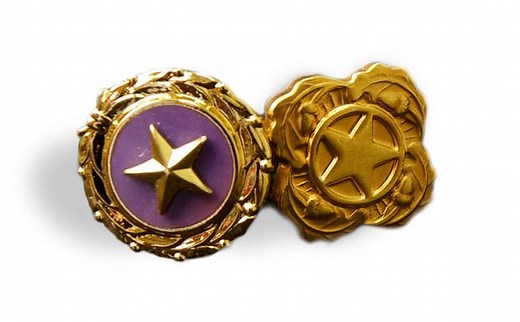 Gold Star Lapel Buttons