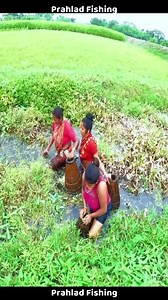 12K views · 104 reactions | Very Amazing Fishing Techniques by Women - Incredible Fish Trap in the Village Nice Place (11) | Prahlad Fishing | Facebook