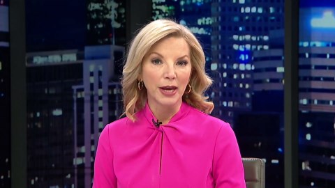 WOLF Sanctuary rescues captive-born wolf dogs