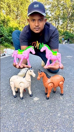 2 Ta Suto and 4 Ta Remote Control Horse🦄😱