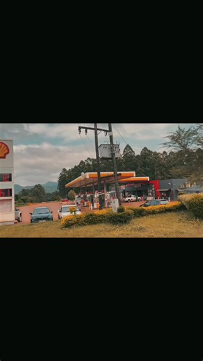 Quality Layer Cages for Poultry Farming