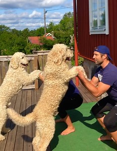 Challeng Your Fear | Ray's Funny Page