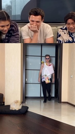 Tom Holland Try Not To Laugh 😂 | Challenge – Part 52 #trynottolaugh #tomholland #funny #viral