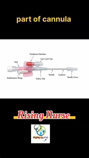 Parts of cannula #cannula #partsofcannula#risingnurse