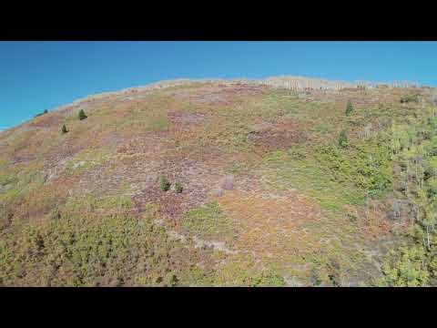 October 2, 2025 Alpine Loop Fall Colors Extreme Edge of Great Basin