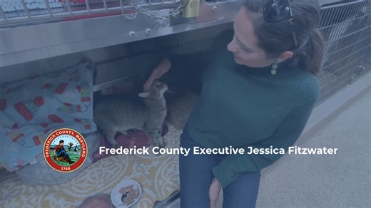 Sy may have been adopted but don't let that stop you from discovering your new pet at Frederick County Animal Control, Maryland! I am announcing upcoming changes to our Revised Animal Control Definitions and Licensing standards to the County Council designed to promote responsible pet ownership in Frederick County and ensure animal welfare and public safety. The Division of Animal Control has recommended several important updates to the County Code, including a new licensing fee schedule, includ