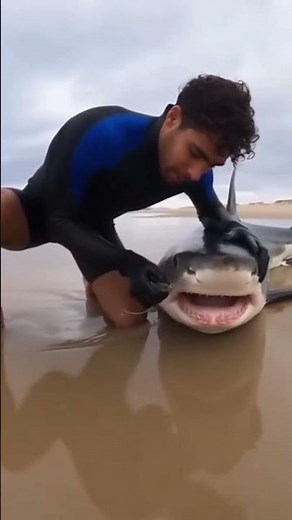 🪝 Surfer Removes Hook from Sharks Mouth