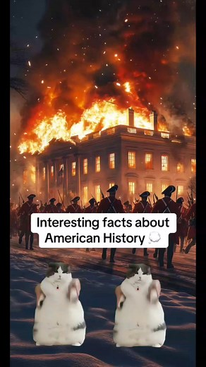 10K views · 101 reactions | Interesting facts about American history.... | Simply Stated History | Facebook