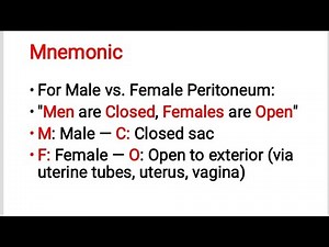 Introduction to the Peritoneum & Peritoneal Folds – Easy Mnemonic for Anatomy!