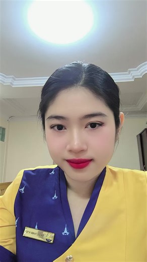 Explore the Journey of a Flight Attendant