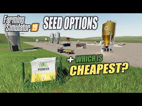 SEED OPTIONS | FARMING SIMULATOR 19 | WHICH IS CHEAPEST? FS19 test/results.