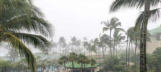 Vento: o que é, tipos, formação, movimentos - Brasil Escola