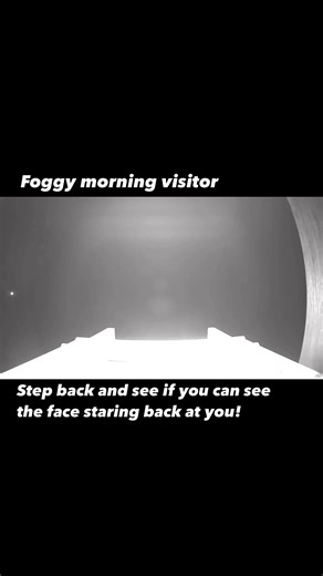 Untouched video from a nature cam mounted nearly 7 feet up in a tree. Do you see the horrifying huge face staring into the camera through the fog? | The Buckeye Bigfoot