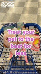 215 reactions · 15 shares | Who’s the pet-loving friend in your life? Tag them in the comments so they can run to Ross to get great deals on purrrfect pet must-haves! | Ross Dress for Less | Facebook