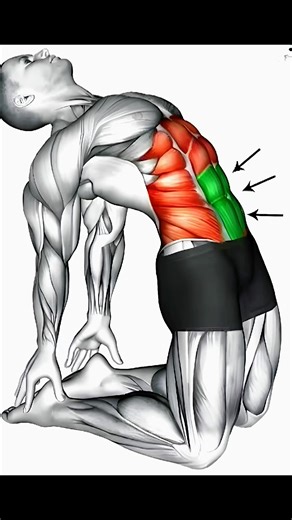 Lower abs workout to build strong, defined lower abdominal muscles fast using targeted core exercises that burn belly fat and improve strength, stability, and control. 💪 #waitandwatch #absworkout #lowerabsworkout #mangymfit #creatorsearchinsights