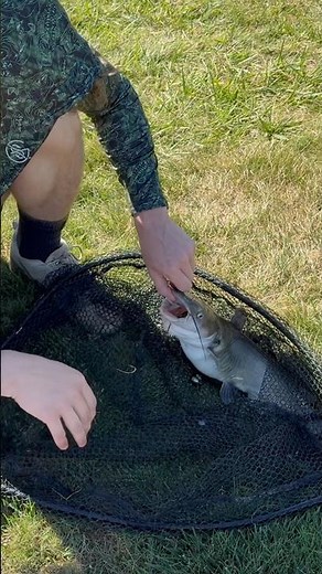 Catch Monster Catfish With THIS Simple Trick! 🎣👍